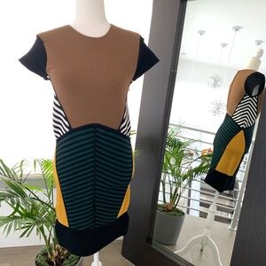 Ronny Kobo Rare Dress size Large fits smaller